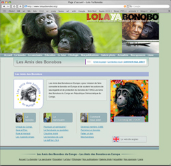 lola ya bonobo